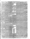 Todmorden Advertiser and Hebden Bridge Newsletter Friday 11 June 1875 Page 3