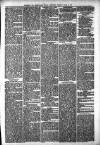 Todmorden Advertiser and Hebden Bridge Newsletter Thursday 29 March 1877 Page 5