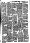 Todmorden Advertiser and Hebden Bridge Newsletter Friday 18 March 1881 Page 3