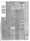 Todmorden Advertiser and Hebden Bridge Newsletter Friday 26 March 1886 Page 3