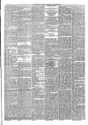 Todmorden Advertiser and Hebden Bridge Newsletter Friday 15 June 1888 Page 5