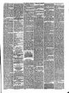 Todmorden Advertiser and Hebden Bridge Newsletter Friday 03 April 1891 Page 5