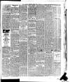 Todmorden Advertiser and Hebden Bridge Newsletter Friday 02 May 1919 Page 3