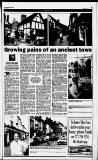 Birmingham Daily Post Saturday 24 July 1993 Page 19