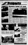 Birmingham Daily Post Friday 06 August 1993 Page 19