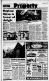 Birmingham Daily Post Friday 01 October 1993 Page 21