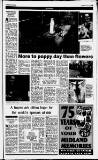 Birmingham Daily Post Saturday 06 November 1993 Page 29
