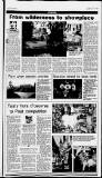 Birmingham Daily Post Saturday 14 January 1995 Page 27