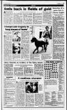 Birmingham Daily Post Saturday 01 April 1995 Page 29
