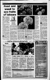 Birmingham Daily Post Saturday 29 April 1995 Page 38