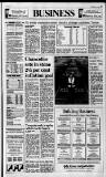 Birmingham Daily Post Thursday 15 June 1995 Page 33