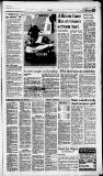 Birmingham Daily Post Saturday 04 November 1995 Page 19