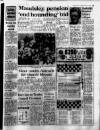 Birmingham Mail Friday 08 April 1977 Page 29