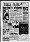 Birmingham Mail Wednesday 11 January 1995 Page 19