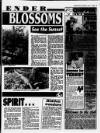Birmingham Mail Saturday 01 July 1995 Page 17