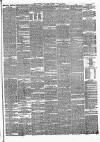 Bristol Daily Post Tuesday 20 April 1875 Page 3