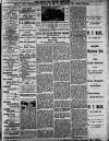 Clifton and Redland Free Press Friday 18 January 1895 Page 3