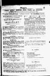 Bristol Magpie Saturday 22 July 1893 Page 19