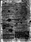 Bristol Magpie Saturday 16 December 1893 Page 17