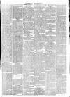 Leicester Daily Post Friday 16 May 1873 Page 3