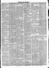 Leicester Daily Post Saturday 07 June 1873 Page 3