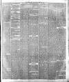 Leicester Daily Post Saturday 06 February 1875 Page 3