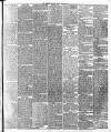 Leicester Daily Post Friday 12 March 1875 Page 3