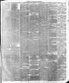 Leicester Daily Post Thursday 29 April 1875 Page 3