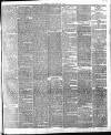 Leicester Daily Post Friday 16 July 1875 Page 3