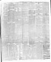 Leicester Daily Post Friday 21 January 1876 Page 3
