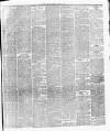 Leicester Daily Post Friday 25 February 1876 Page 3