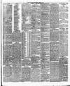 Leicester Daily Post Tuesday 21 March 1876 Page 3
