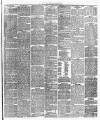 Leicester Daily Post Friday 24 March 1876 Page 3