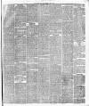 Leicester Daily Post Thursday 01 June 1876 Page 3