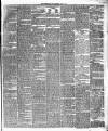 Leicester Daily Post Wednesday 28 June 1876 Page 3