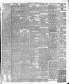 Leicester Daily Post Friday 07 July 1876 Page 3