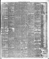 Leicester Daily Post Thursday 20 July 1876 Page 3