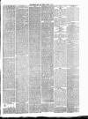 Leicester Daily Post Tuesday 16 January 1877 Page 3