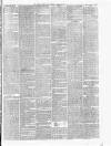 Leicester Daily Post Saturday 03 February 1877 Page 3