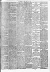 Leicester Daily Post Friday 25 May 1877 Page 3