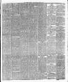 Leicester Daily Post Saturday 09 March 1878 Page 5