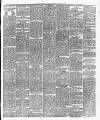 Leicester Daily Post Wednesday 20 March 1878 Page 3
