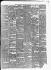 Leicester Daily Post Saturday 06 April 1878 Page 5