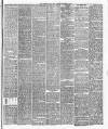 Leicester Daily Post Tuesday 19 November 1878 Page 3