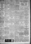 Leicester Daily Post Tuesday 24 July 1917 Page 3