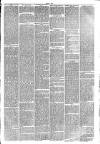 Leicester Guardian Wednesday 11 June 1873 Page 3