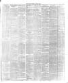 Crewe Guardian Saturday 06 January 1877 Page 3