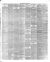 Crewe Guardian Saturday 17 March 1877 Page 3