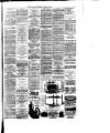 Crewe Guardian Wednesday 10 April 1878 Page 7