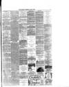 Crewe Guardian Wednesday 23 June 1880 Page 7